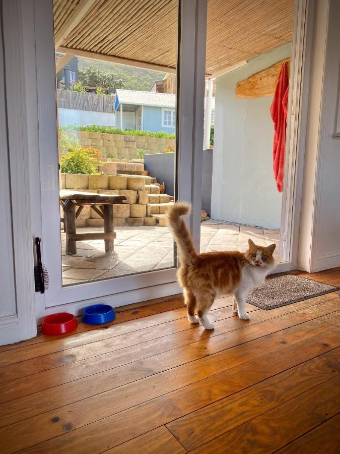 Villa Amanzi Hout Bay Dış mekan fotoğraf
